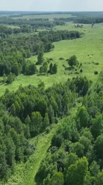 Yazın ağaçlık bir bölgenin yukarıdan görünüşü