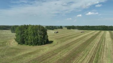 Hasat sırasında tarlaların drone görünümü
