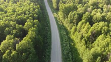 Yazın ağaçlık bir bölgenin yukarıdan görünüşü
