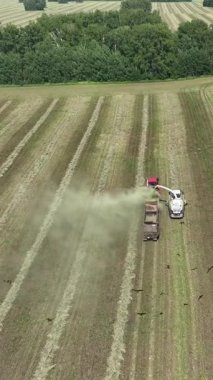 Hasat makinesinin en üst görüntüsü mahsul topluyor. Dikey video