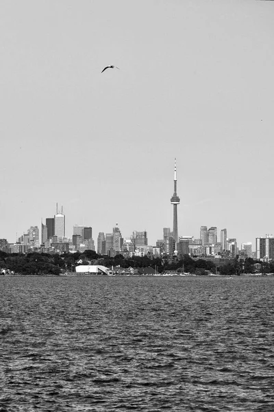 Siyah beyaz gölden şehrin manzarası.