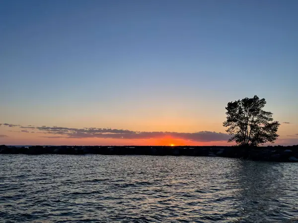 Gölün üzerinde güzel bir gün batımı ve ön planda bir ağaç silueti. Ontario, Kanada.