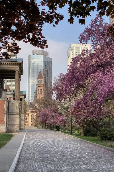 Kulenin manzaralı, parkta bir sokak. Belediye Binası, Toronto.