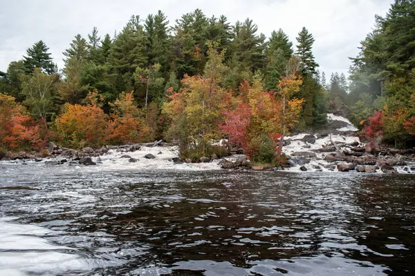 Sonbaharda dağ nehri. Önünde renkli ağaçlar ve kayalar var. Ontario, Kanada.
