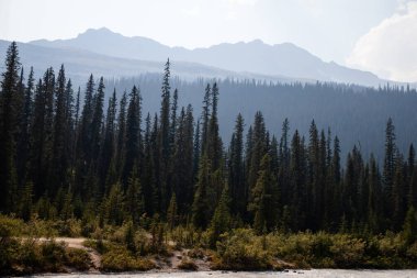 Kanada Kayalıkları, Banff Ulusal Parkı, Alberta, Kanada. 