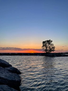 Gölün üzerinde gün batımı, ağaçların siluetleri ve gökyüzünde bulutlar. Akşam manzarası. Orillia, Kanada.