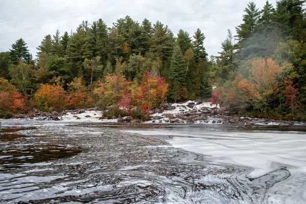 Oxlanguage River-Ragged Falls İl Parkı. Algonquin Park, Ontario, Kanada. 