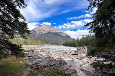 Athabasca Şelalesi, Kanada. Jasper Ulusal Parkı 'nda Seyahat. 