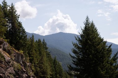 Kanada Kayalıkları, Britanya Kolumbiyasında yaz tatili.  