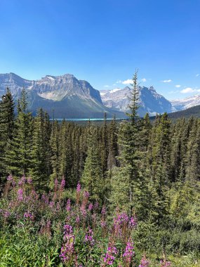 Kanada 'daki Buzul Ulusal Parkı. Kanada Kayalıkları, Kanada 'da yaz tatili.