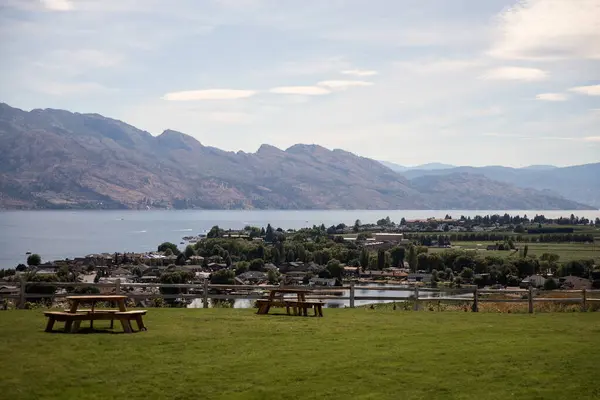 Okanagan Gölü kıyısındaki üzüm bağları. Kelowna Bıldırcın Kapısı Şaraphanesi, İngiliz Kolombiyası, Kanada.
