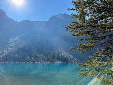 Arkasında turkuaz su ve yeşil orman olan dağ gölü. Alberta, Kanada. 