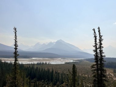 Banff Ulusal Parkı manzaralı, Alberta, Kanada. Keçiler ve buzullar.