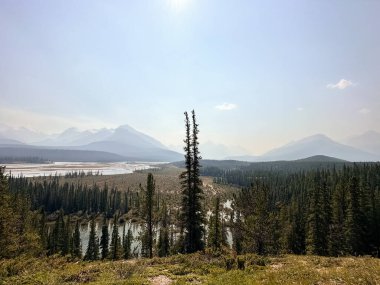 Banff Ulusal Parkı, Kanada 'da göl ve ormanlı dağ manzarası.