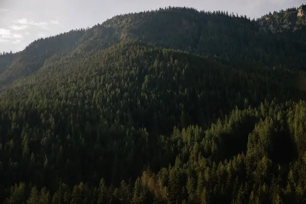 Akşamları dağların havadan görünüşü. British Columbia, Kanada.
