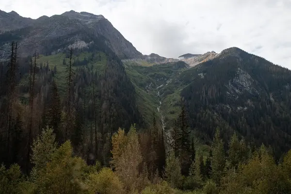 Kanada Kayalıkları, Britanya Kolumbiyası 'ndaki dağ manzarası. 