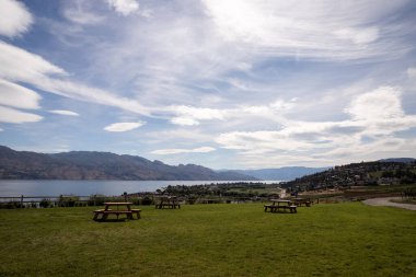 Okanagan Gölü kıyısındaki üzüm bağları. Kelowna Bıldırcın Kapısı Şaraphanesi, İngiliz Kolombiyası, Kanada.