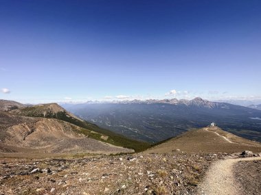 Jasper Tramvayı 'ndan panoramik görüntüler. Alberta, Kanada. 