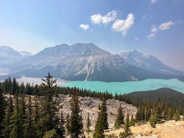 Peyto Gölü, Alberta, Kanada. Kanada 'da yaz tatili. 