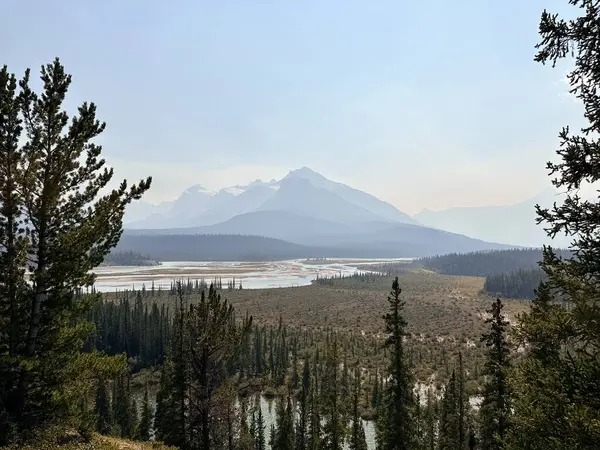 Banff Ulusal Parkı manzaralı, Alberta, Kanada. Keçiler ve buzullar.