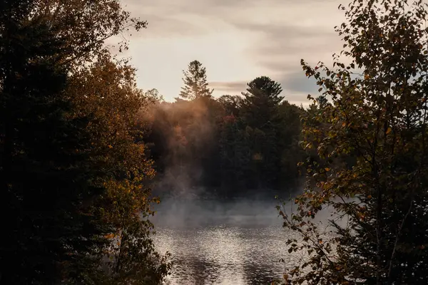 Nehrin üzerinde sis ve ön planda ağaçlar olan sonbahar manzarası. Algonquin Parkı, Kanada. 