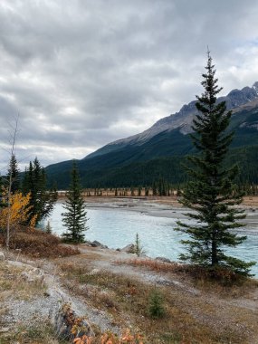 Bow Gölü, Banff Ulusal Parkı, Alberta, Kanada.