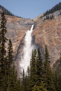 Takakkaw Şelalesi, Yoho Ulusal Parkı 'nda, Field, British Columbia, Kanada yakınlarında..