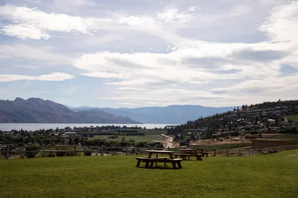 Okanagan Gölü kıyısındaki üzüm bağları. Kelowna Bıldırcın Kapısı Şaraphanesi, İngiliz Kolombiyası, Kanada.