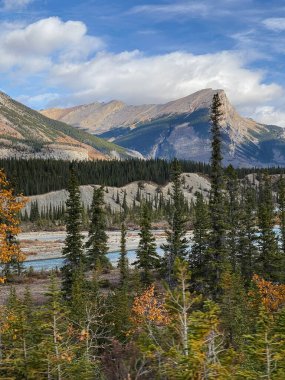 Kanada Sonbaharda Kayalıklar, Banff Ulusal Parkı, Alberta, Kanada.