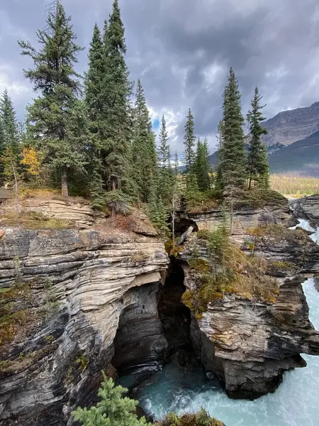 Jasper Ulusal Parkı 'ndaki Athabasca Nehri, Alberta, Kanada.