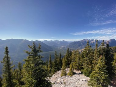 Yazın kozalaklı orman ve mavi gökyüzü olan dağ manzarası. Banff, Alberta, Kanada. 
