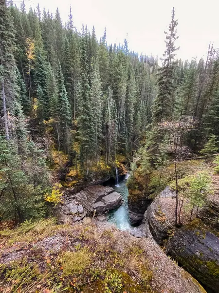 Sonbahar ormanındaki dağ nehri. Jasper, Kanada. 