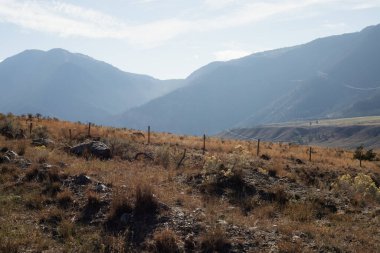 Arkasında kuru çimenler ve mavi gökyüzü olan dağ manzarası. British Columbia, Kanada.
