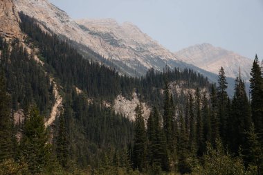 Kanada Kayalıkları 'ndaki dağlar ve kozalaklı ormanlar. BC, Kanada.