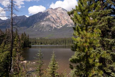 Dağlardaki dağ gölü Jasper Ulusal Parkı, Alberta, Kanada.