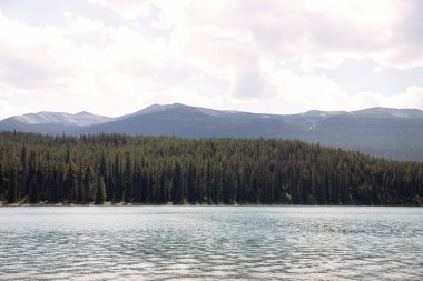 Arkasında temiz su ve kozalaklı orman olan dağ gölü. Maligne Gölü, Alberta, Kanada.