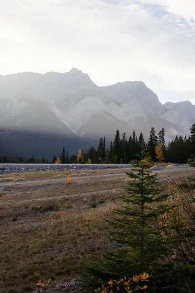 Sonbaharda dağlar, Jasper Ulusal Parkı, Alberta, Kanada.