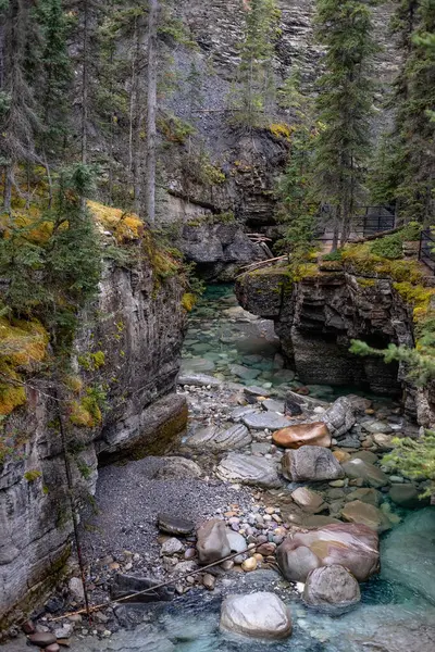 Kanada 'nın Rocky Dağları' ndan bir dağ nehri akar. Jasper, Kanada.