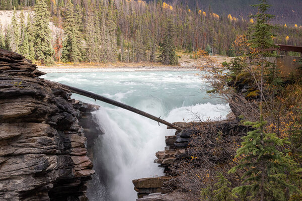 The Athabasca Falls, Jasper National Park, Alberta, Canada.