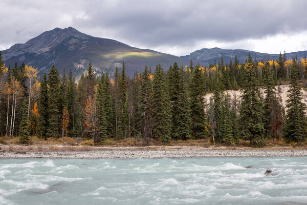 Autumn view of the Athabasca River in Jasper National Park, Alberta, Canada.