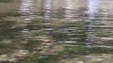 Kristal berrak bir su kütlesinin ışıltılı yüzeyi Yumuşak dalgalar ve Doğal Yansımalarla