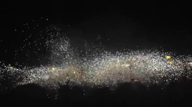 Gece Festivali 'nde Havai fişekler ve Parıltılı Gösteriler