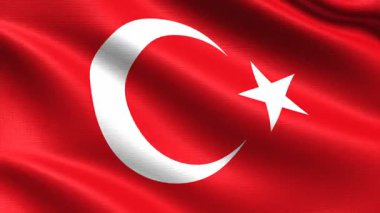 Ağaçlı Kentsel Çevre 'de Güneşli Gün