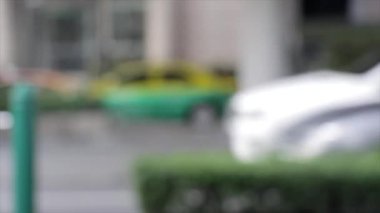 Ağaçlı Kentsel Çevre 'de Güneşli Gün