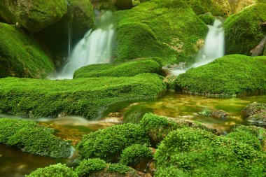 Bir dağ deresinin çağlayanı