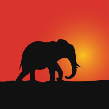Gün batımında fil siluetinin vektör çizimi