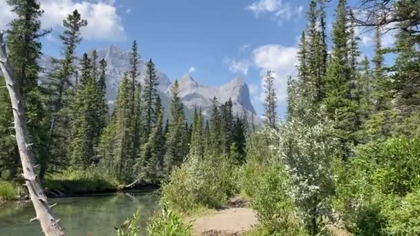 风景秀丽的山景映衬在美丽的湖畔 — 图库视频影像
