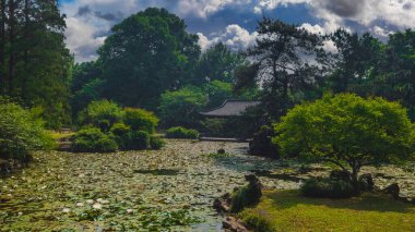 Serene East Asian garden with lotus-filled pond, traditional pavilion, and lush greenery, under a partly cloudy sky, inviting tranquility and reflection in a natural setting. clipart