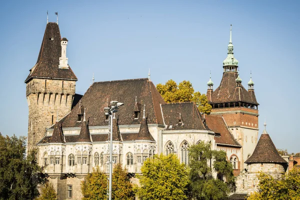 Budapeşte, Macaristan - Vajdahunyad kalesi manzaralı