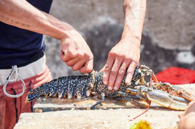 İsrail 'in kuzeyindeki eski binanın güzel manzarası 19 Nisan' da Fas 'ın cazibesi beni büyüledi. Marakeş' in canlı çarşıları, Ait Ben Haddou 'nun sinematik cazibesi, Sahara' nın göksel gecesi ve Berber kültürüyle gerçek bağları.. 